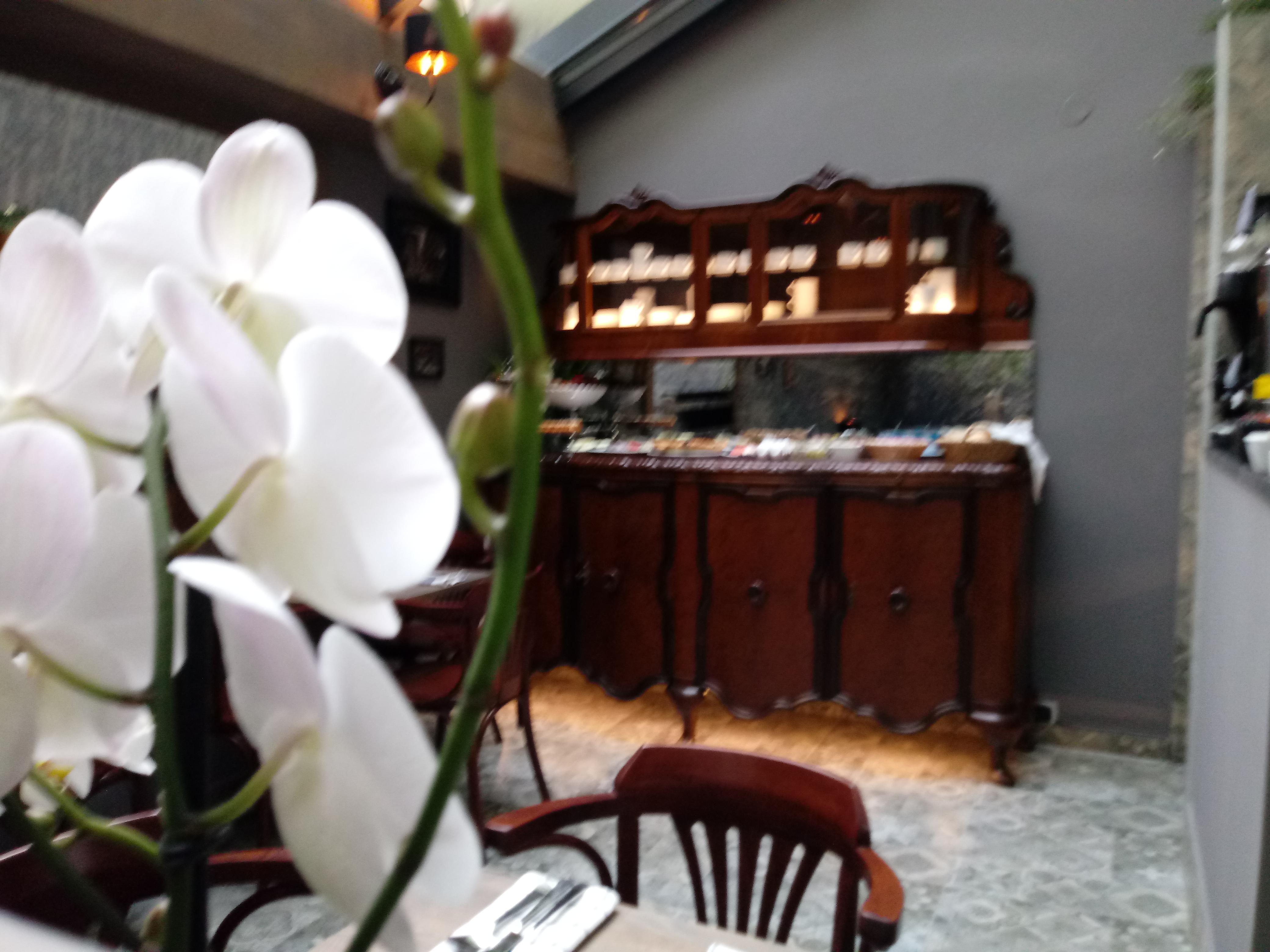 Aparthotel Shalom Kazimierz Kraków Zewnętrze zdjęcie